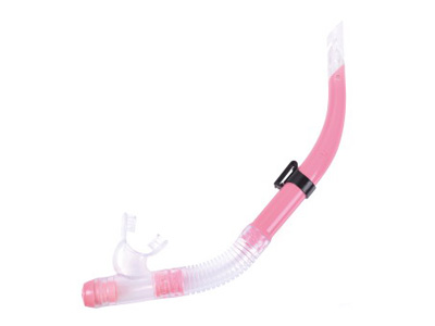 <img src='photo/V/JV097613.jpg'width='400' height='300'>