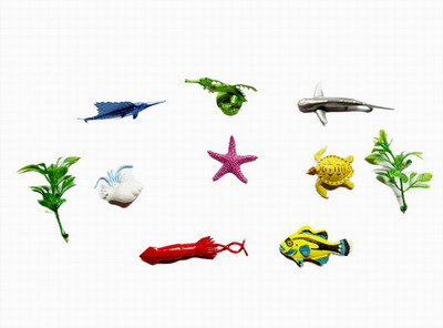 <img src='photo/Z/JZ092440.jpg'width='400' height='300'>