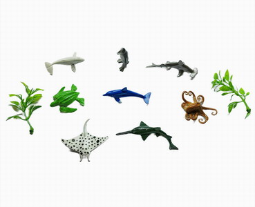 <img src='photo/Z/JZ092441.jpg'width='400' height='300'>