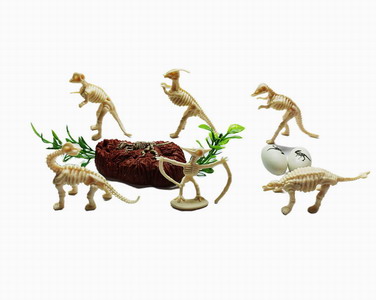 <img src='photo/Z/JZ092445.jpg'width='400' height='300'>