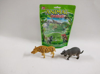 <img src='photo/Z/JZ092456.jpg'width='400' height='300'>