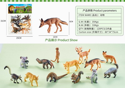 <img src='photo/Z/JZ092727.jpg'width='400' height='300'>