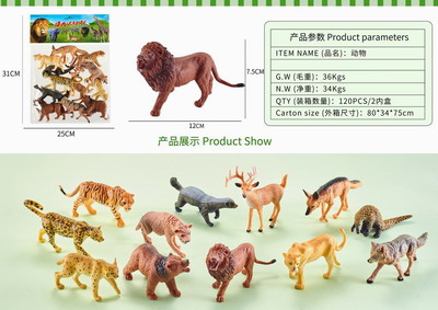 <img src='photo/Z/JZ092728.jpg'width='400' height='300'>