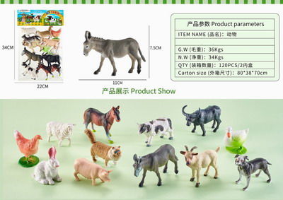 <img src='photo/Z/JZ092732.jpg'width='400' height='300'>