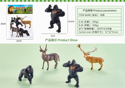 <img src='photo/Z/JZ092747.jpg'width='400' height='300'>