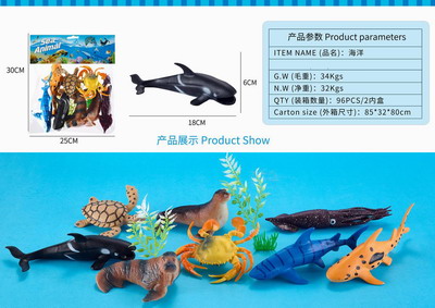 <img src='photo/Z/JZ092803.jpg'width='400' height='300'>