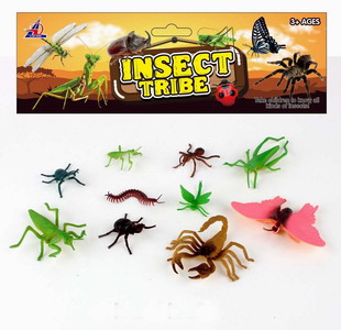 <img src='photo/Z/JZ092869.jpg'width='400' height='300'>