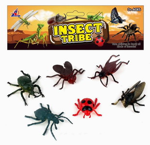 <img src='photo/Z/JZ092871.jpg'width='400' height='300'>