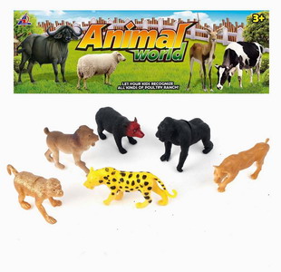 <img src='photo/Z/JZ092874.jpg'width='400' height='300'>