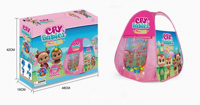 <img src='photo/Z/JZ092916.jpg'width='400' height='300'>