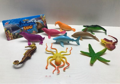 <img src='photo/Z/JZ092966.jpg'width='400' height='300'>