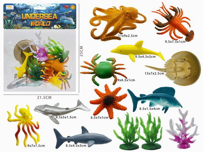 <img src='photo/Z/JZ093024.jpg'width='400' height='300'>