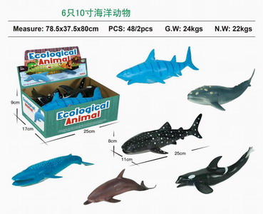 <img src='photo/Z/JZ093264.jpg'width='400' height='300'>