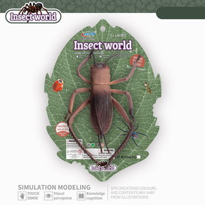 <img src='photo/Z/JZ093281.jpg'width='400' height='300'>