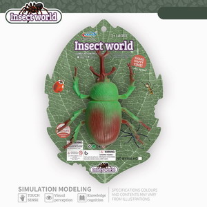 <img src='photo/Z/JZ093282.jpg'width='400' height='300'>