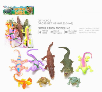 <img src='photo/Z/JZ093296.jpg'width='400' height='300'>