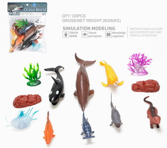 <img src='photo/Z/JZ093320.jpg'width='400' height='300'>