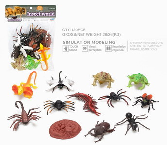 <img src='photo/Z/JZ093330.jpg'width='400' height='300'>