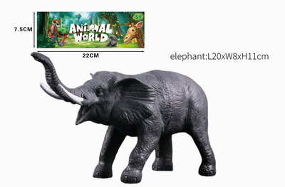 <img src='photo/Z/JZ093678.jpg'width='400' height='300'>