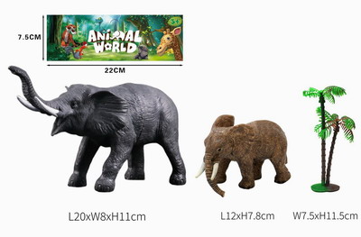 <img src='photo/Z/JZ093680.jpg'width='400' height='300'>