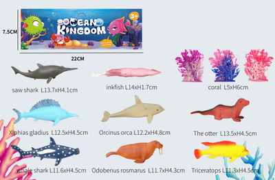 <img src='photo/Z/JZ093737.jpg'width='400' height='300'>