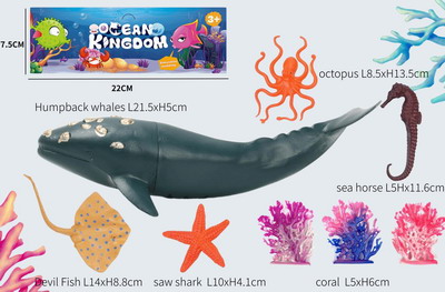 <img src='photo/Z/JZ093748.jpg'width='400' height='300'>