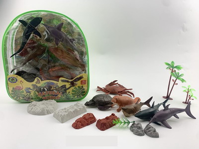 <img src='photo/Z/JZ094002.jpg'width='400' height='300'>