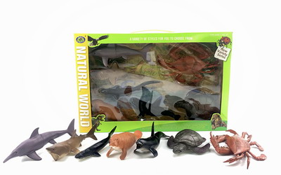 <img src='photo/Z/JZ094032.JPG'width='400' height='300'>