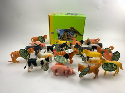 <img src='photo/Z/JZ094036.jpg'width='400' height='300'>