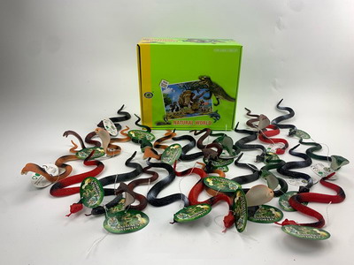 <img src='photo/Z/JZ094040.jpg'width='400' height='300'>