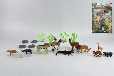 <img src='photo/Z/JZ094084.jpg'width='400' height='300'>