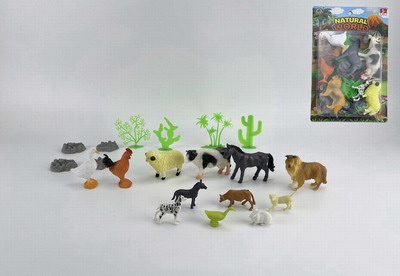 <img src='photo/Z/JZ094086.jpg'width='400' height='300'>