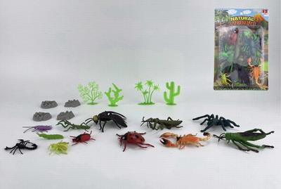 <img src='photo/Z/JZ094088.jpg'width='400' height='300'>