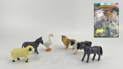 <img src='photo/Z/JZ094096.jpg'width='400' height='300'>