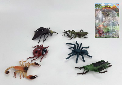 <img src='photo/Z/JZ094098.jpg'width='400' height='300'>