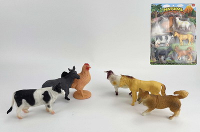 <img src='photo/Z/JZ094101.jpg'width='400' height='300'>