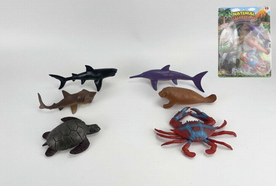 <img src='photo/Z/JZ094102.jpg'width='400' height='300'>