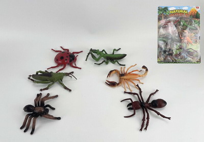 <img src='photo/Z/JZ094103.jpg'width='400' height='300'>