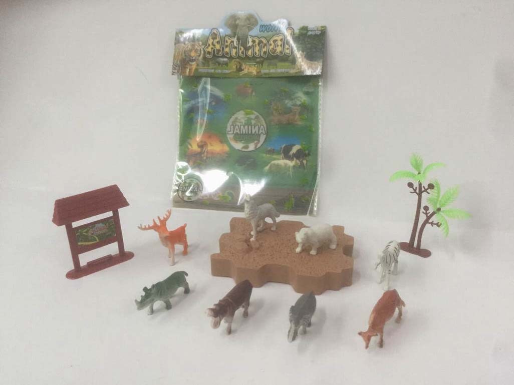 <img src='photo/Z/JZ094290.jpg'width='400' height='300'>