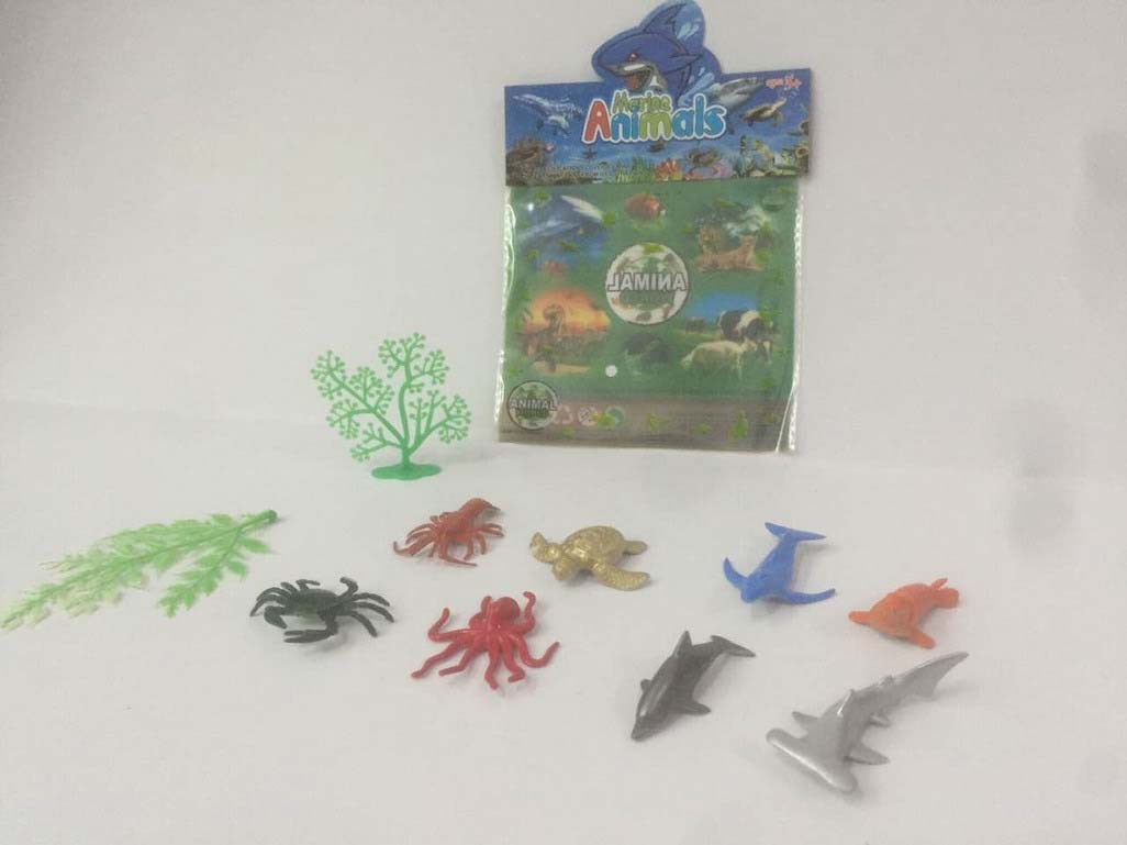 <img src='photo/Z/JZ094292.jpg'width='400' height='300'>