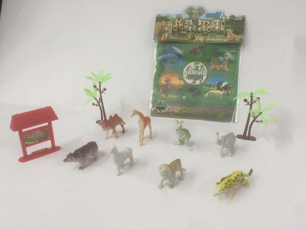 <img src='photo/Z/JZ094304.jpg'width='400' height='300'>