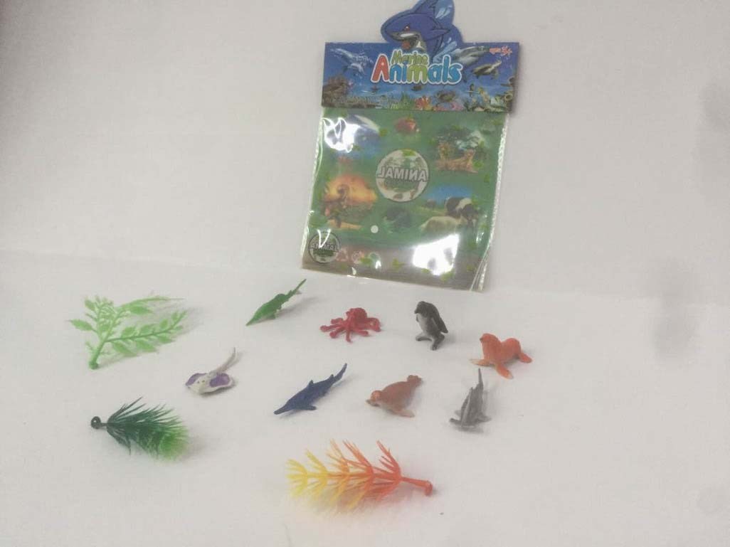 <img src='photo/Z/JZ094313.jpg'width='400' height='300'>