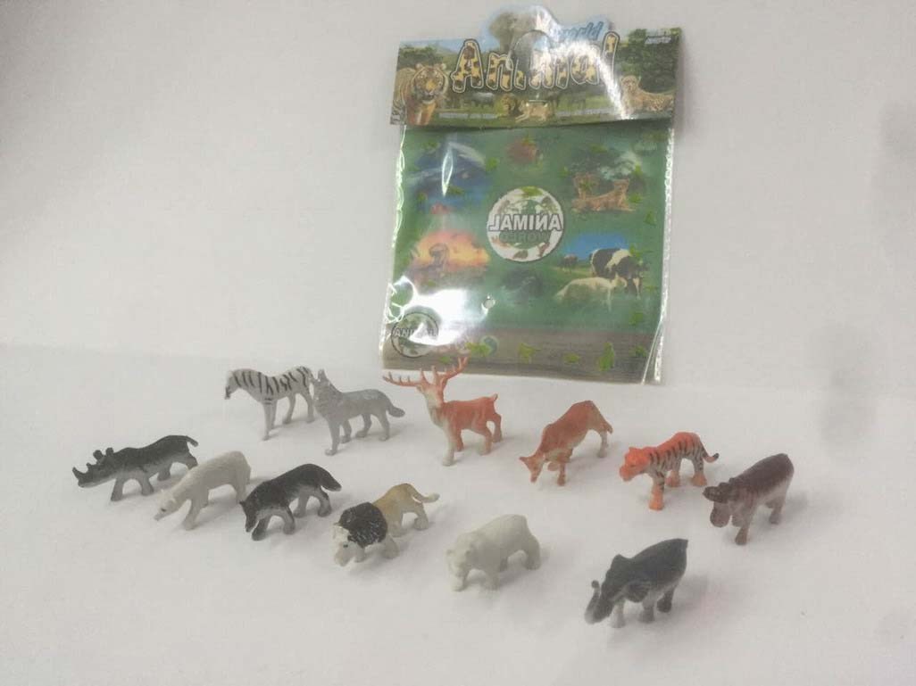 <img src='photo/Z/JZ094315.jpg'width='400' height='300'>