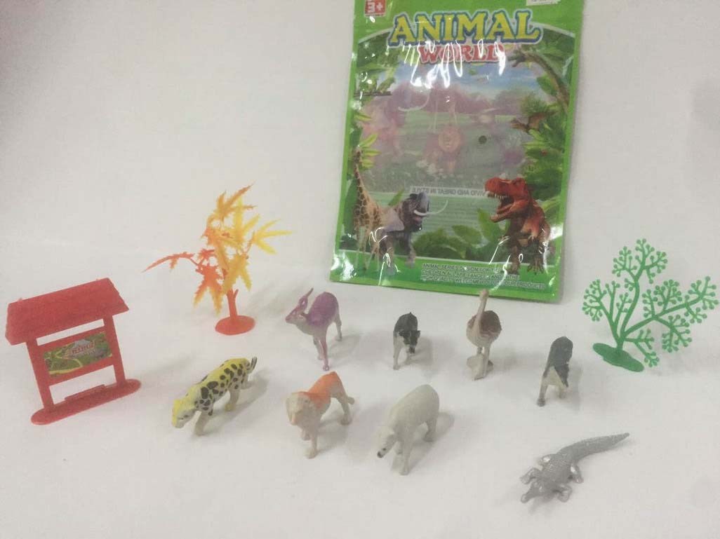 <img src='photo/Z/JZ094317.jpg'width='400' height='300'>