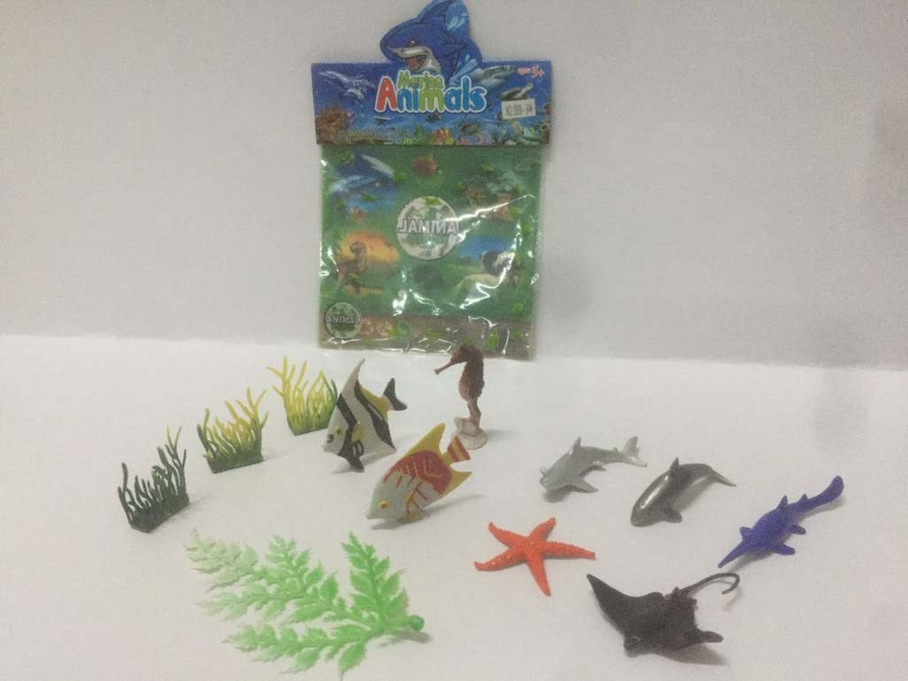 <img src='photo/Z/JZ094322.jpg'width='400' height='300'>