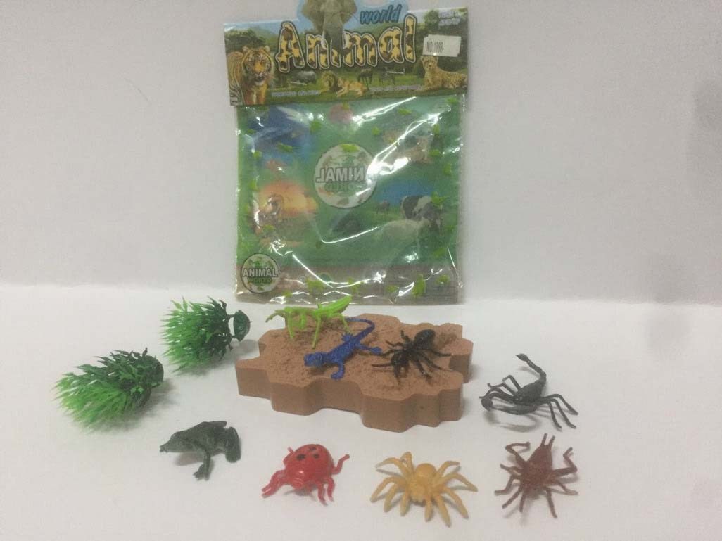 <img src='photo/Z/JZ094323.jpg'width='400' height='300'>