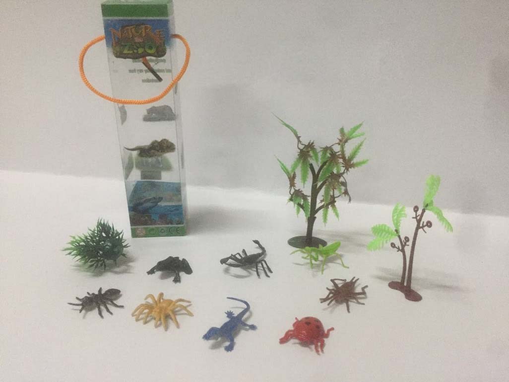 <img src='photo/Z/JZ094326.jpg'width='400' height='300'>