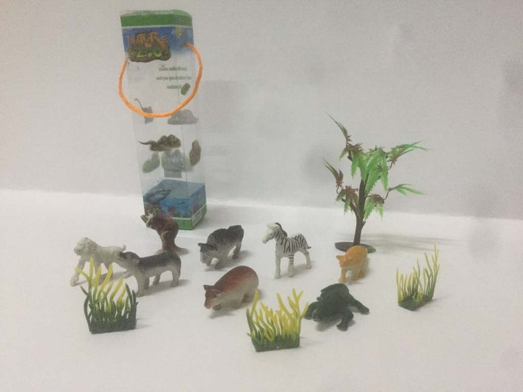 <img src='photo/Z/JZ094329.jpg'width='400' height='300'>