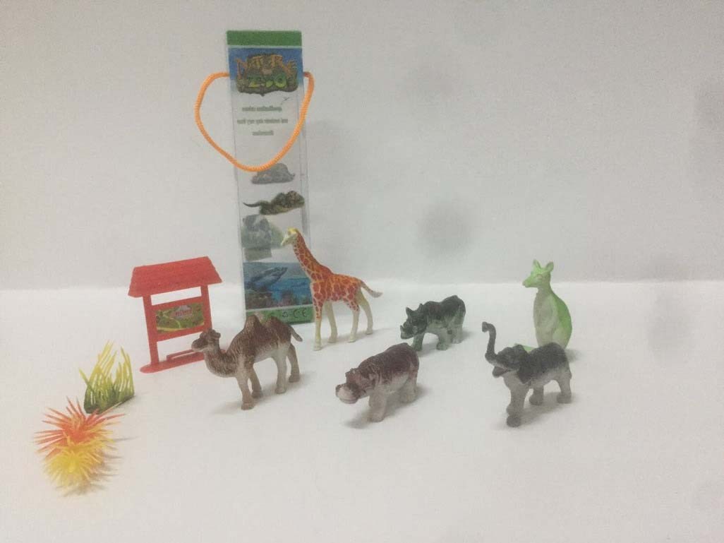 <img src='photo/Z/JZ094333.jpg'width='400' height='300'>