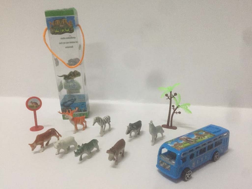 <img src='photo/Z/JZ094335.jpg'width='400' height='300'>